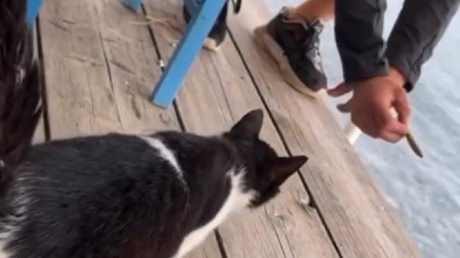 xαμός-στη-κρήτη-πρόστιμο-5-000-ευρώ-στην-15χρ-61729