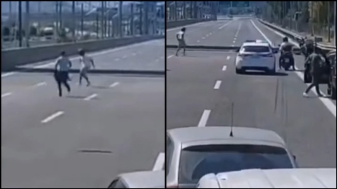 χάος-στην-αττική-οδό-σκύλος-έτρεχε-παν-59830