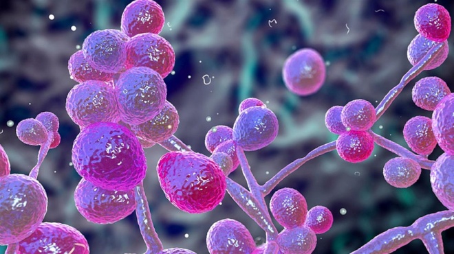 αύξηση-στα-πολυανθεκτικά-μικρόβια-μέ-66840