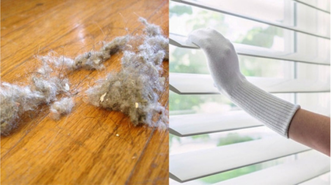 σκόνη-στο-σπίτι-20-εύκολα-κόλπα-για-να-απ-79175