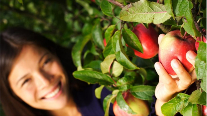 το-τραγανό-φρούτο-που-ρυθμίζει-το-έντε-75672