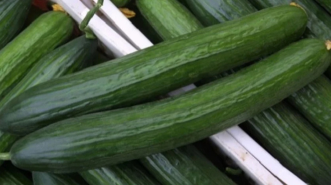 αγγούρια-13-άγνωστες-χρήσεις-τους-που-θ-74577