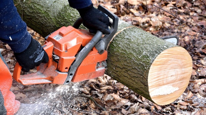 νέα-στοιχεία-kρήτη-του-ξέφυγε-το-αλυσο-66364