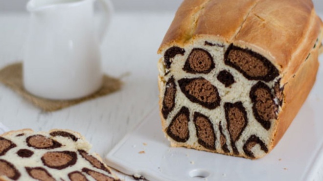 μοδάτο-και-γευστικό-κέικ-λεοπάρ-η-συντ-75862