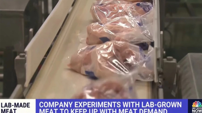 για-πρώτη-φορά-πώληση-κοτόπουλου-φτια-88106