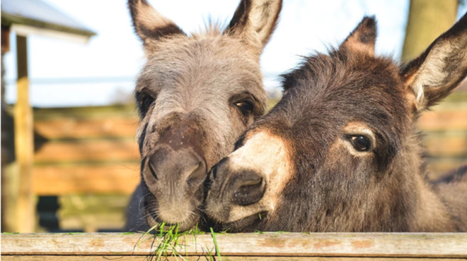 σημαντικό-επίτευγμα-tο-πρώτο-στον-κόσμ-88695