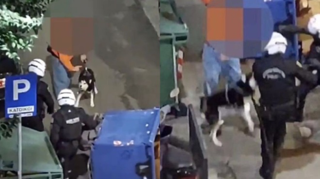 κάνει-τον-γύρο-του-διαδικτύου-αστυνομ-102250