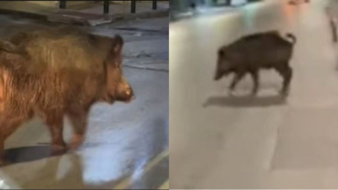 πού-πας-ρε-για-ποτό-το-viral-βίντεο-στο-tiktok-μ-101372