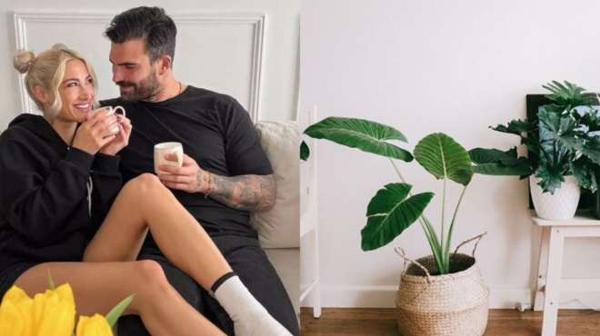 μαμά-δημήτρη-αλεξάνδρου-αυτό-το-φυτό-100443