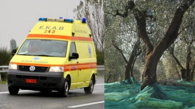 τον-βρήκαν-νεκρό-σε-χωράφι-τραγικό-τέλ-102209