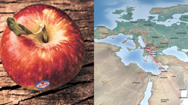 zagorin-ο-αγροτικός-συνεταιρισμός-ζαγοράς-π-112615