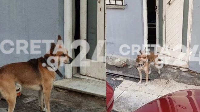 σπαράζει-ο-νέος-χάτσικο-στα-χανιά-o-σ-115289