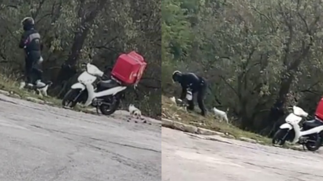 κάνει-τον-κόσμο-μας-πιο-όμορφο-διανομέ-127088