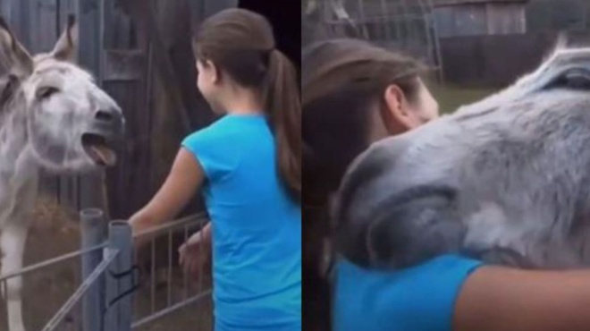 μοναδική-ψυχή-κοριτσάκι-συναντά-ξανά-128916