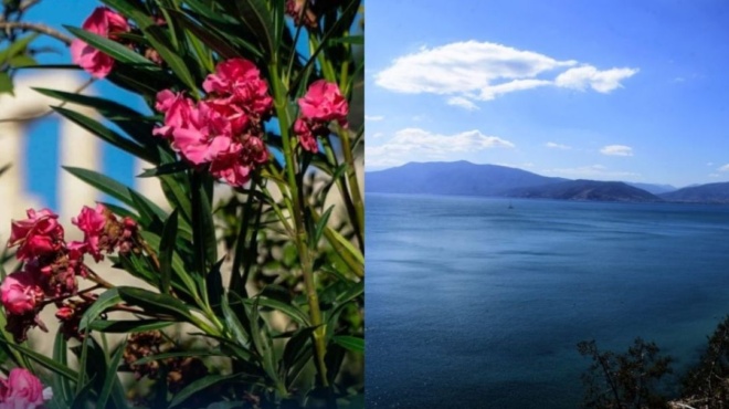 ο-καιρός-τη-δευτέρα-πρόγνωση-για-όλη-τη-126959