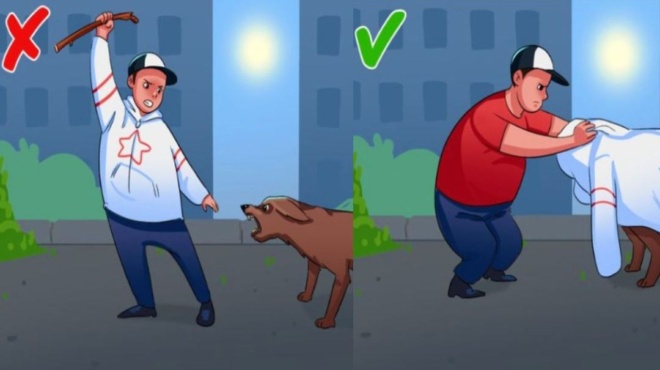 τα-5-βήματα-που-πρέπει-να-κάνεις-αν-σου-ε-128197