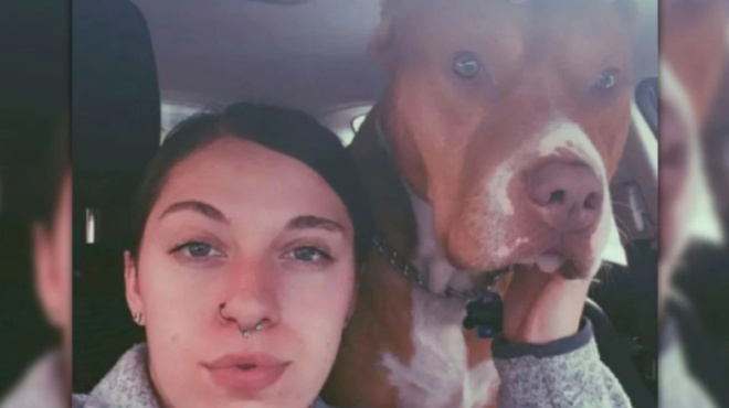 σκύλος-της-δάγκωσε-τη-μύτη-και-από-το-μό-130879