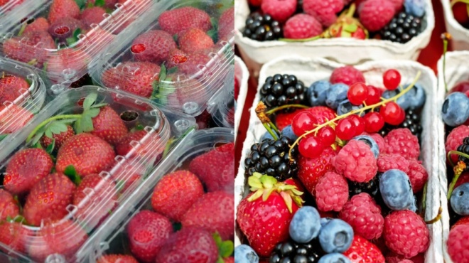 επιτέλους-τέλος-τα-σάπια-το-απλούστα-146947