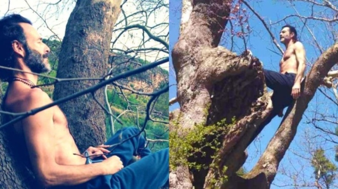 σκαρφάλωσε-στα-δέντρα-για-να-ξεχαστεί-140796