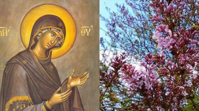 ο-περισσότερος-κόσμος-δεν-το-γνωρίζει-141390