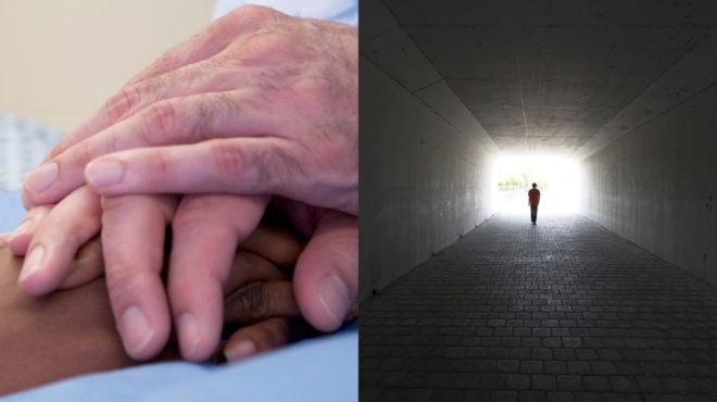 επιστήμονες-αποκαλύπτουν-τι-βλέπο-148210