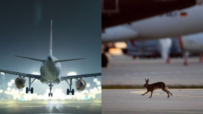 σας-ζητώ-συγγνώμη-πιλότος-στην-κρήτ-150573