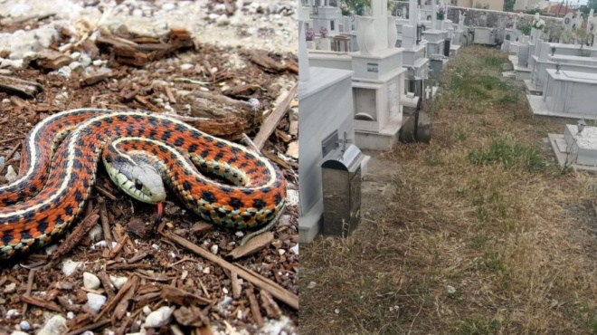 ώρες-αγωνίας-στον-βόλο-στη-μεθ-το-4χρον-160802