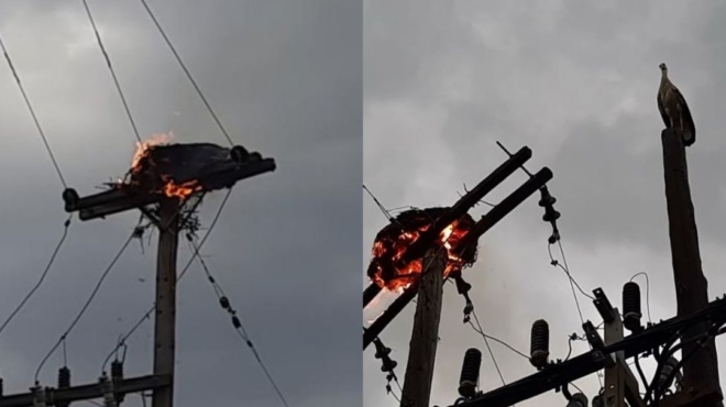 ραγίζει-καρδιές-μαμά-πελαργός-βλέπ-155940