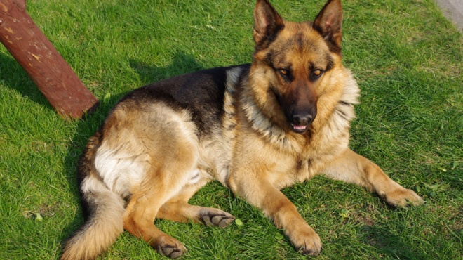 δεν-πίστευαν-στα-μάτια-τους-ο-μεγαλόσω-159421