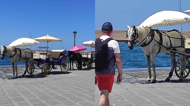 θλιβερή-εικόνα-στα-χανία-άλογα-άμαξας-165406