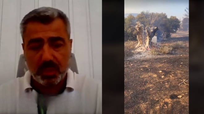 κάηκαν-τα-παιδιά-μας-συγκινεί-ο-μελι-165476