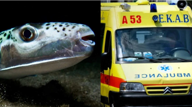 μετά-τους-καρχαρίες-ήρθαν-οι-λαγοκέφα-167382