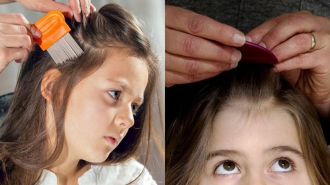 δεν-βγάζω-τις-ψείρες-από-την-7χρονη-κόρ-168372