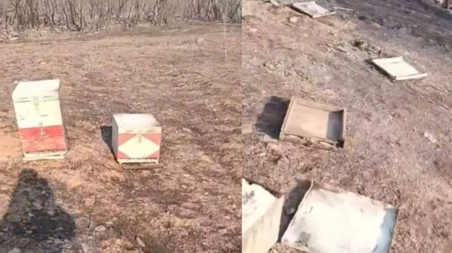 ψυχούλες-μου-κοριτσάκια-μου-γλυκά-μ-169686