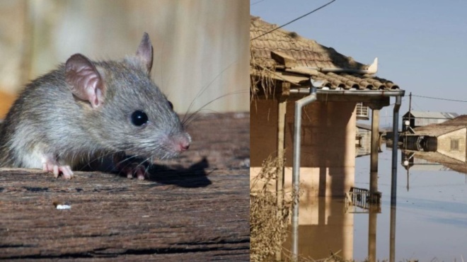 ανακοινώθηκαν-τα-δυσάρεστα-στον-βόλο-173217