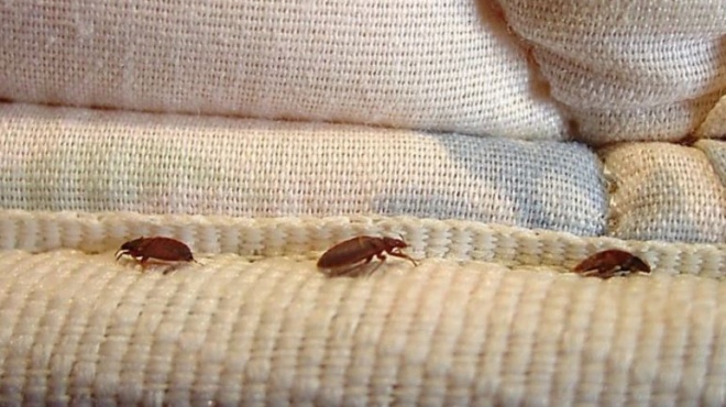 δυστυχώς-είναι-αλήθεια-o-κοριός-του-κρ-174119