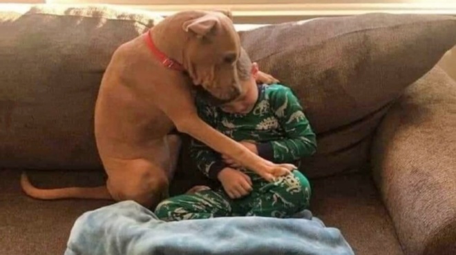 μια-εικόνα-χίλιες-λέξεις-η-πιο-ευτυχισ-179147