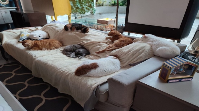 δεν-θα-σας-αφήσω-ποτέ-κατάστημα-επίπ-179020