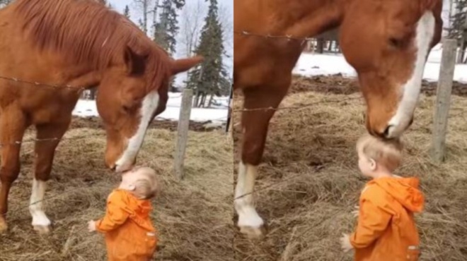 έλιωσε-όλο-το-ίντερνετ-η-τρυφερή-στιγμ-178492