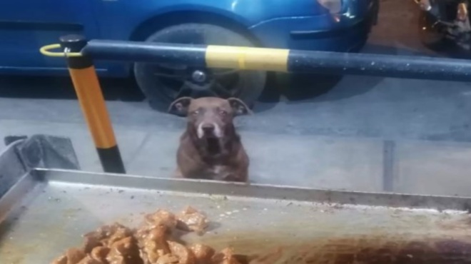 μαθήματα-ενσυναίσθησης-αυτός-ο-ιδιοκ-178660