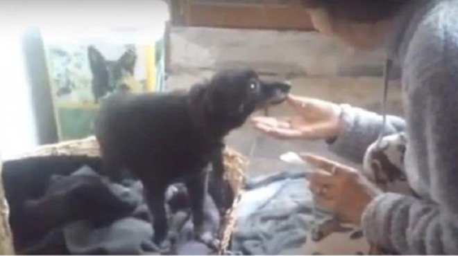 μαζί-για-22-χρόνια-συγκίνηση-με-την-97χρον-178195