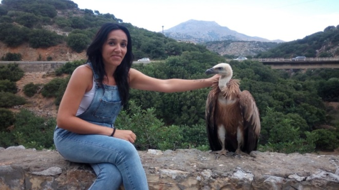 όλο-το-ιντερνετ-έλιωσε-στην-κρήτη-ένας-178617