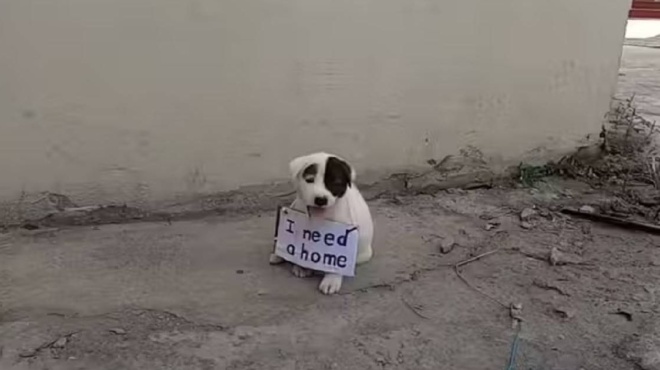 λυγίζουν-και-οι-πιο-σκληροί-το-κουτα-179321