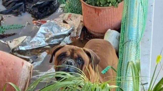 υπάρχουν-άνθρωποι-κατάφεραν-και-έσωσ-179953