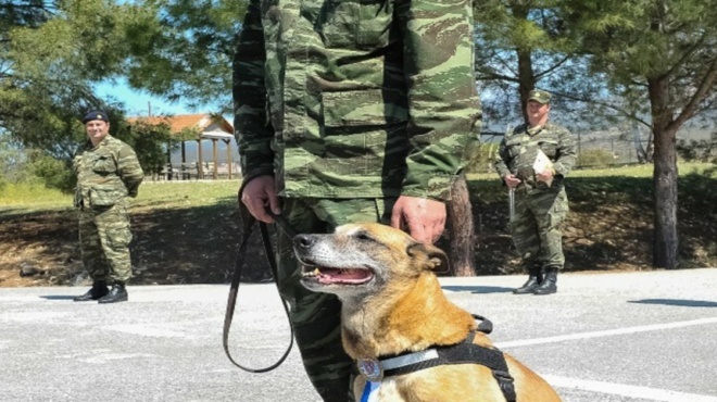 χαρούμενες-στιγμές-στον-στρατό-ξηράς-180478