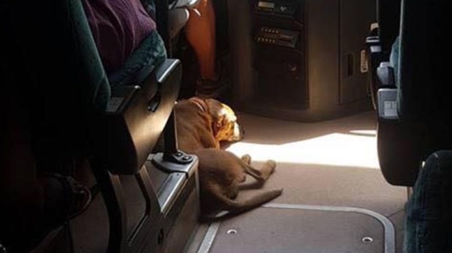 μόνο-μπράβο-οδηγός-κτελ-παίρνει-μαζί-τ-183979