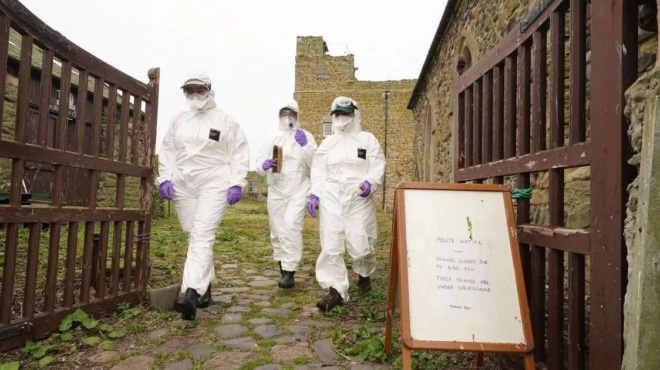 γρίπη-των-πτηνών-η-επόμενη-πανδημία-εί-184130