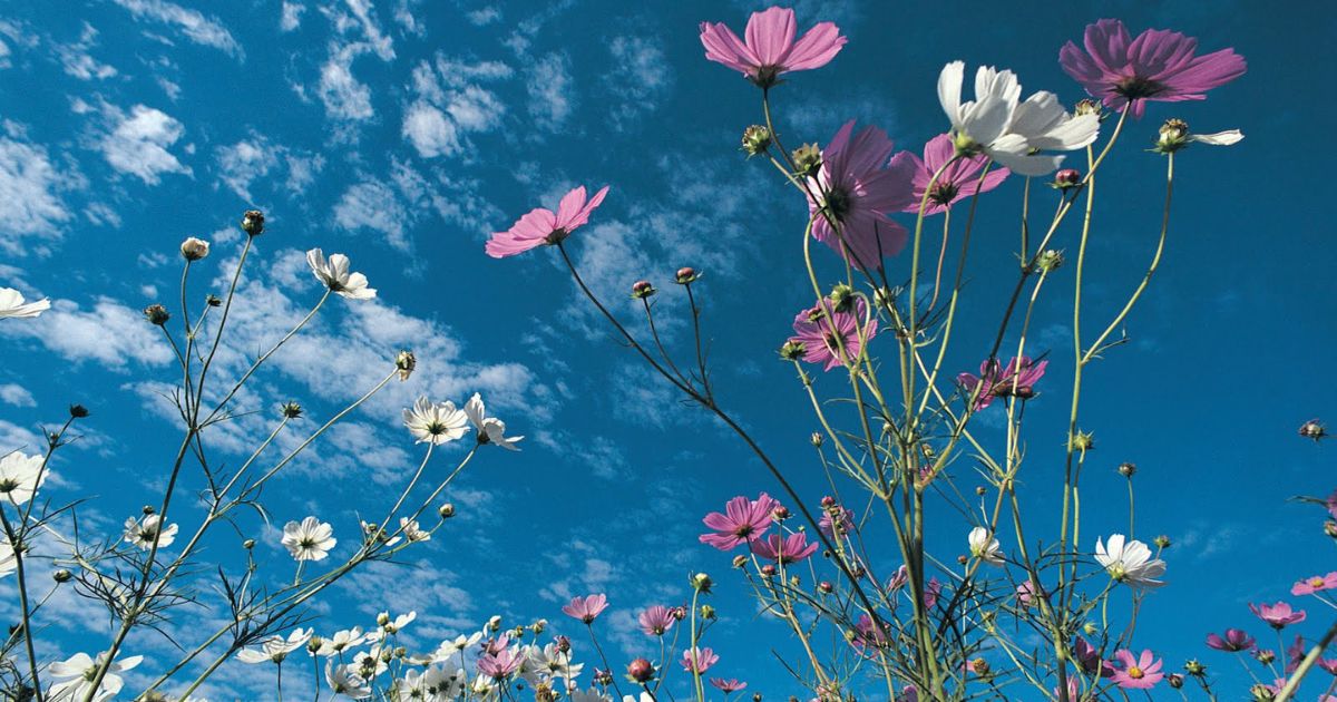 Μερομήνια 2024