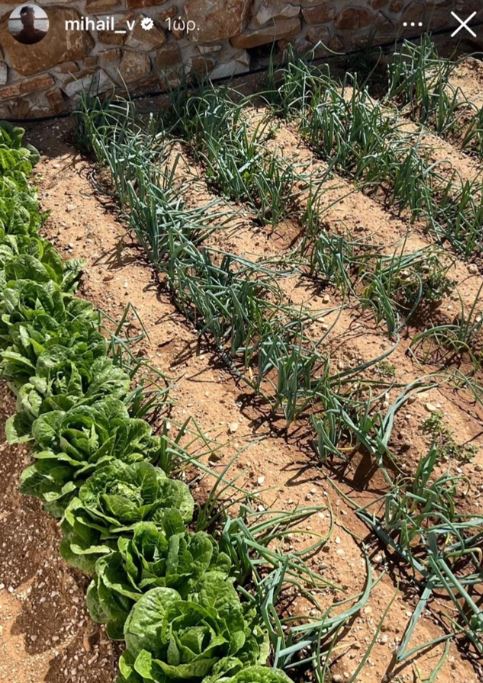 Μιχαήλ Άγγελος Βαρθακούρης