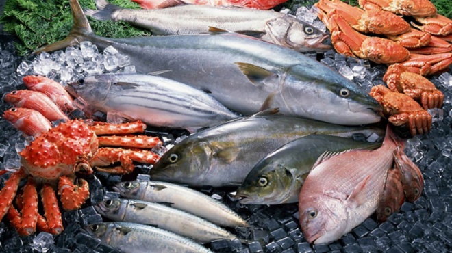 rasff-αυτό-είναι-το-πιο-μολυσμένο-ψάρι-τα-τε-186952